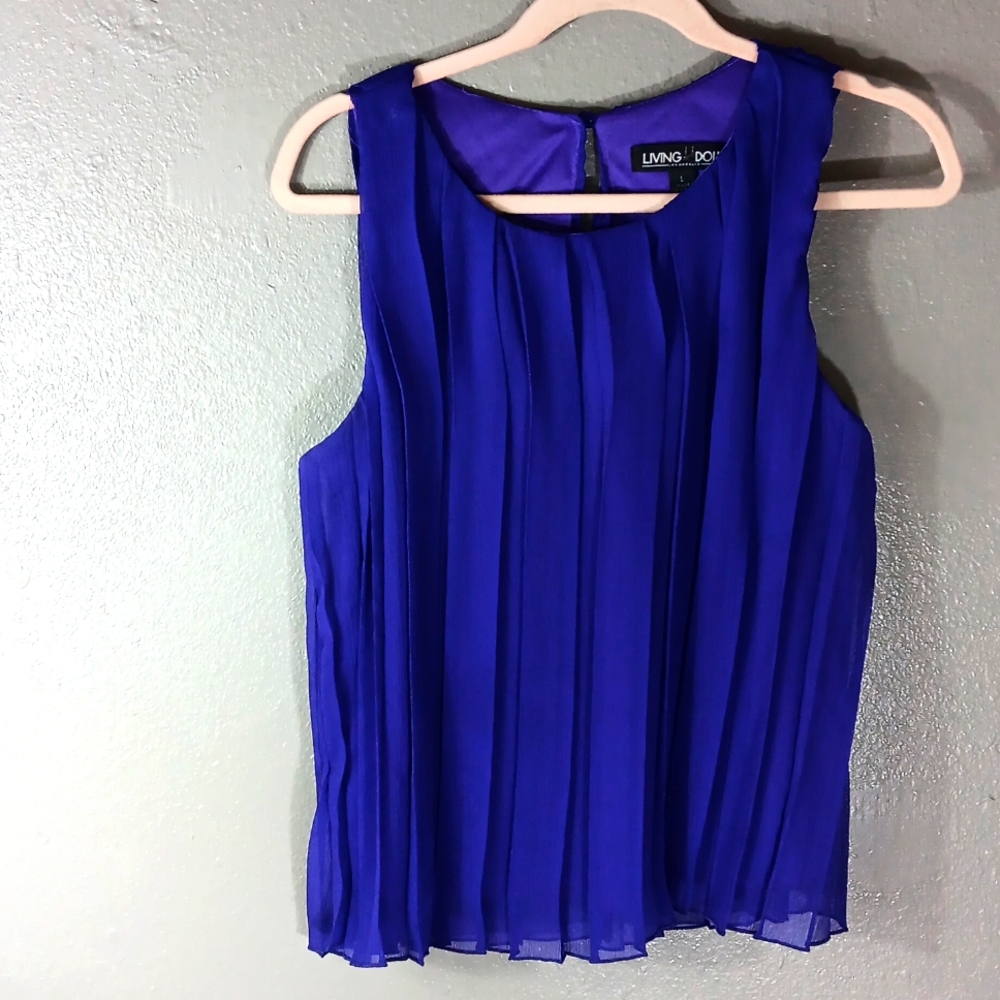 Beautiful dressy crop top lined, brand is Living Doll Los Angeles